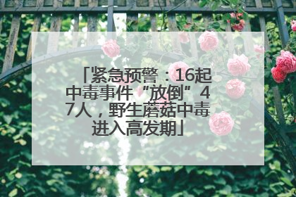 紧急预警：16起中毒事件“放倒”47人，野生蘑菇中毒进入高发期